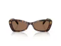 Swarovski Solbriller SK 6033 100273