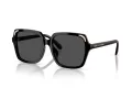 Swarovski Solbriller SK 6034D 100187