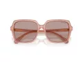 Swarovski Solbriller SK 6034D 10257N