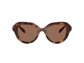 Swarovski Solbriller SK 6037 100273