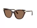 Swarovski Solbriller SK 6039 100273