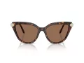 Swarovski Solbriller SK 6039 100273