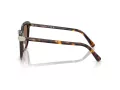 Swarovski Solbriller SK 6039 100273