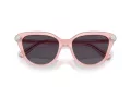 Swarovski Solbriller SK 6039 1041P5