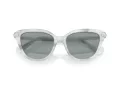 Swarovski Solbriller SK 6039 1042/1