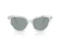 Swarovski Solbriller SK 6039 1042/1
