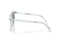 Swarovski Solbriller SK 6039 1042/1
