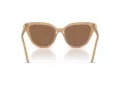 Swarovski Solbriller SK 6039 2002OK