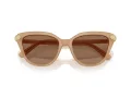 Swarovski Solbriller SK 6039 2002OK