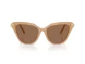Swarovski Solbriller SK 6039 2002OK