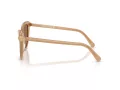 Swarovski Solbriller SK 6039 2002OK