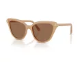 Swarovski Solbriller SK 6039 2002OK