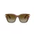 Swarovski Solbriller SK 6041 1067T5