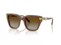 Swarovski Solbriller SK 6041 1067T5