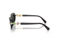 Swarovski Solbriller SK 6042 100187
