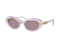Swarovski Solbriller SK 6042 1079LA