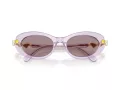Swarovski Solbriller SK 6042 1079LA