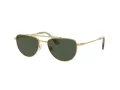 Swarovski Solbriller SK 7007 401782
