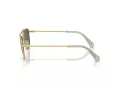 Swarovski Solbriller SK 7007 401782
