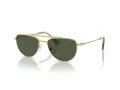 Swarovski Solbriller SK 7007 401782
