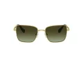 Swarovski Solbriller SK 7015 4004E8