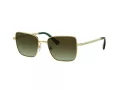 Swarovski Solbriller SK 7015 4004E8
