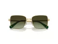 Swarovski Solbriller SK 7015 4004E8