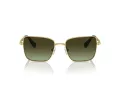 Swarovski Solbriller SK 7015 4004E8