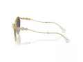 Swarovski Solbriller SK 7017 400487