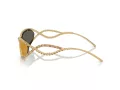Swarovski Solbriller SK 7024 40047P