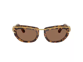 Swarovski Solbriller SK 7026 403573