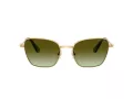 Swarovski Solbriller SK 7029 4004E8