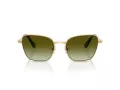 Swarovski Solbriller SK 7029 4004E8