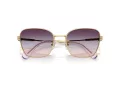 Swarovski Solbriller SK 7029 4036U7
