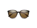 Smith Solbriller SM Cheetah 086/L5