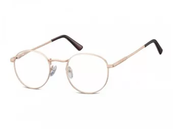 Berkeley Briller 604 F