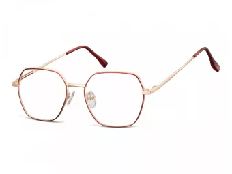 Berkeley Briller 911F