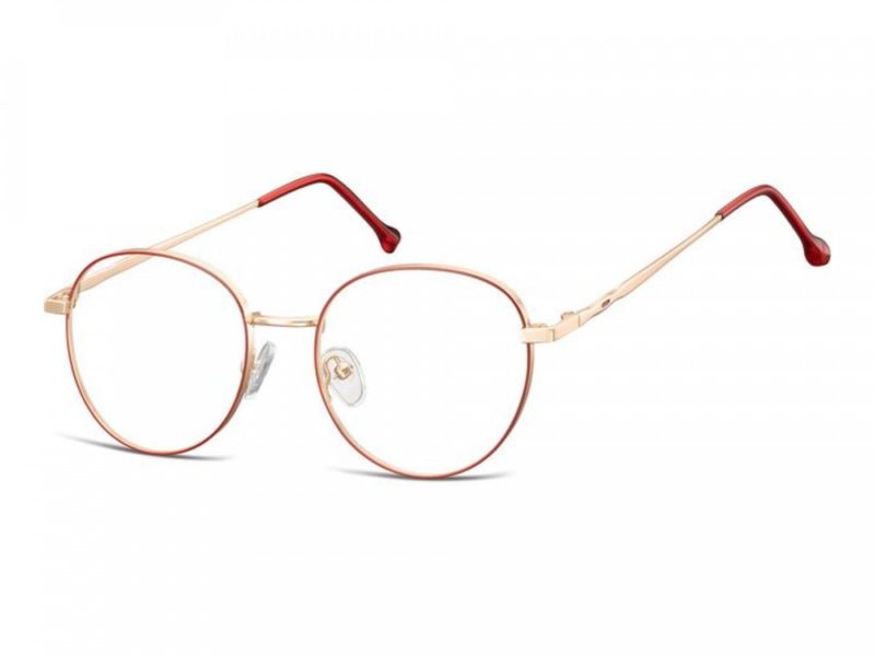 Berkeley Briller 912F