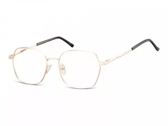 Berkeley Briller 913F
