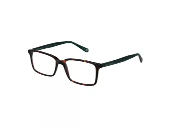 Ted Baker Briller TB 8118 145