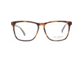 Ted Baker Briller TB 8208 106