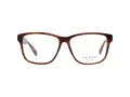 Ted Baker Briller TB 8232 151