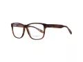 Ted Baker Briller TB 8232 151