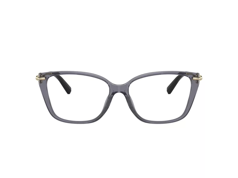 Tiffany Briller TF 2248K 8405
