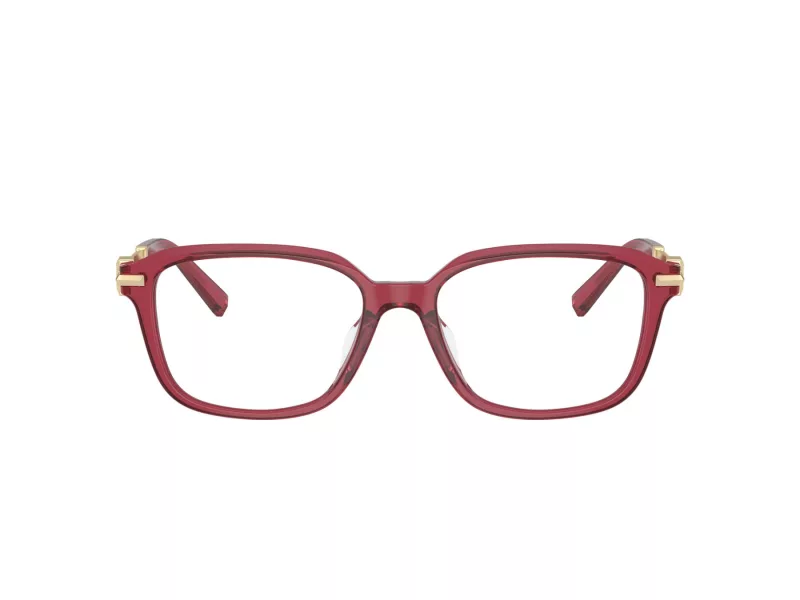 Tiffany Briller TF 2253D 8419