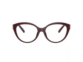 Tiffany Briller TF 2255U 8389