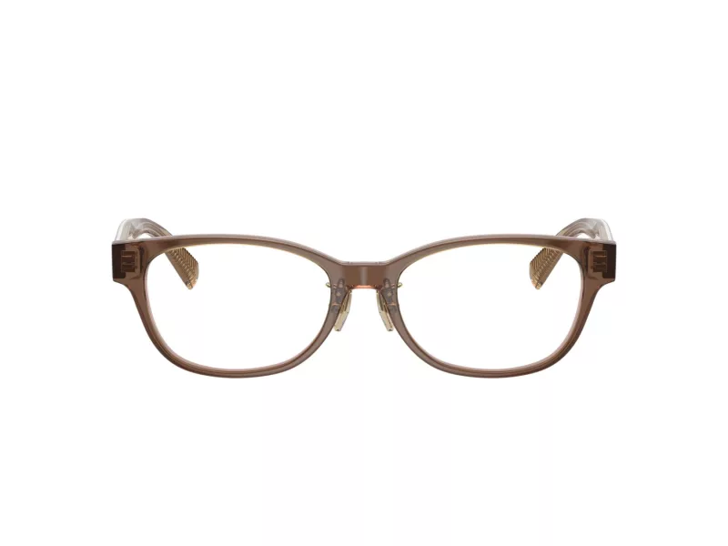 Tiffany Briller TF 2263D 8255