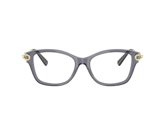 Tiffany Briller TF 2266 8405