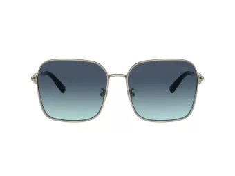 Tiffany Solbriller TF 3093D 60219S