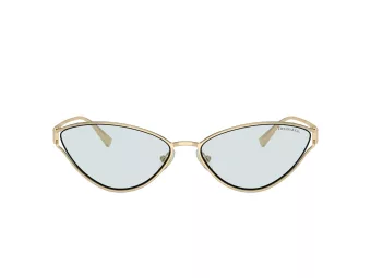 Tiffany Solbriller TF 3095 6196MF